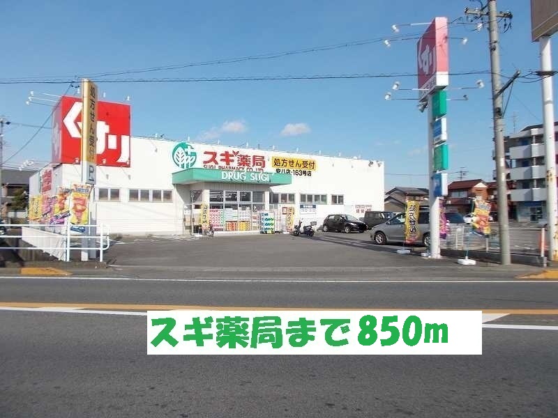 Dorakkusutoa. Cedar pharmacy Anpachi shop 850m until (drugstore)