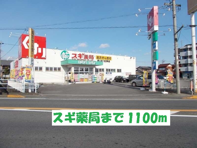 Dorakkusutoa. Cedar pharmacy Anpachi shop 1100m until (drugstore)