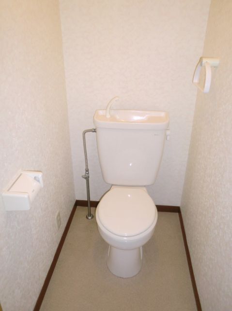 Toilet. Toilet with cleanliness. 