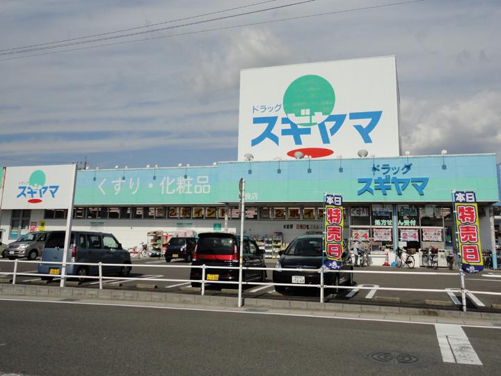 Drug store. Drugstore Sugiyama to Nagara shop 410m