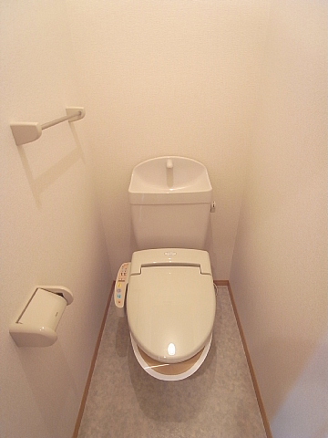 Toilet. Hot water toilet cleaning toilet seat is very comfortable