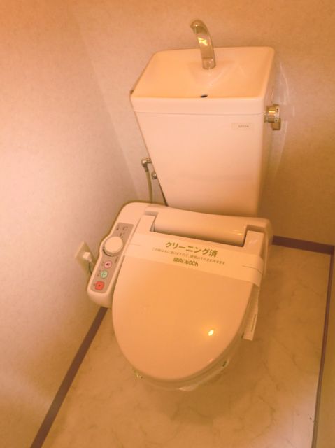 Toilet. A clean toilet. 