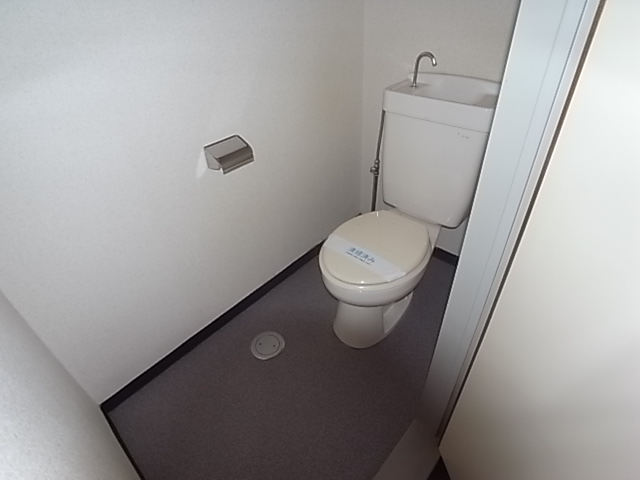 Toilet. Very wide toilet! 