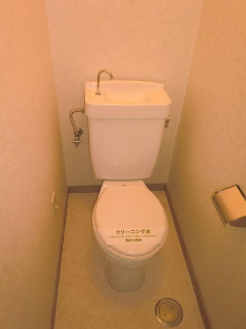 Toilet. It is a Western-style toilet