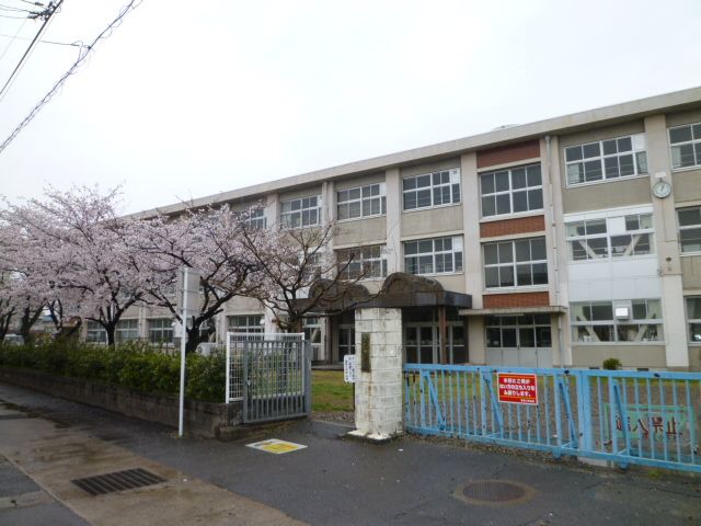 Primary school. Municipal thickness up to elementary school (elementary school) 2000m