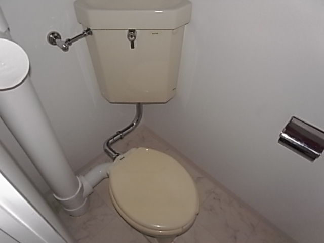 Toilet. separate