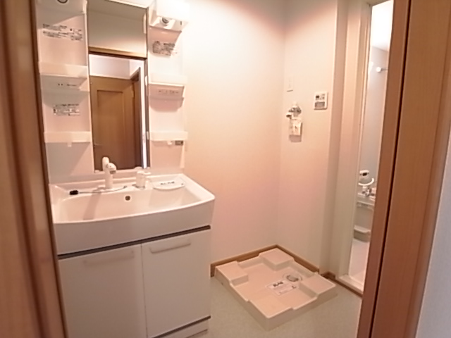 Washroom. Shower with lavatory and washing machine inside the room