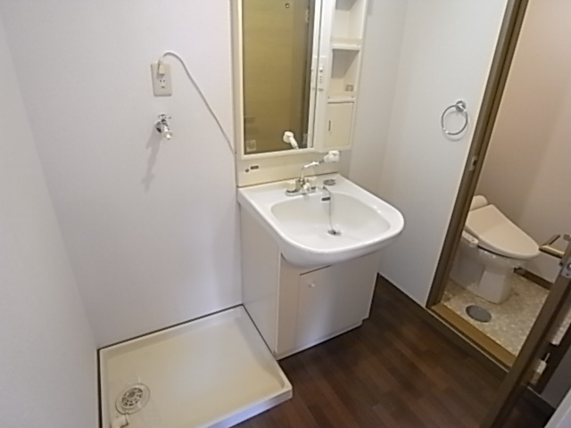 Washroom. Basin is equipped with a shower type. 