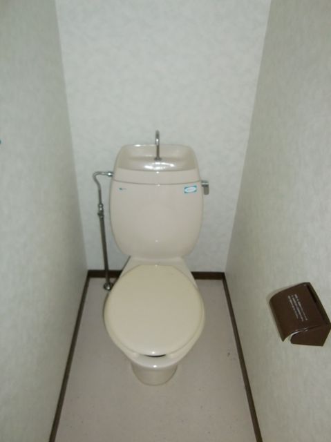 Toilet. It is a Western-style toilet. 