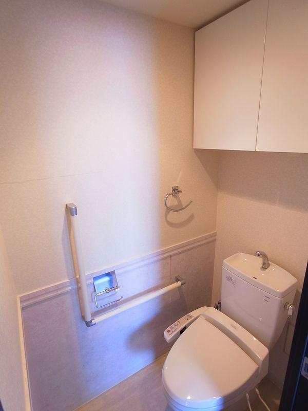 Toilet. Indoor (February 2013) Shooting