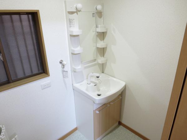 Wash basin, toilet. Also established new vanity!  Caramel color stylish vanity.