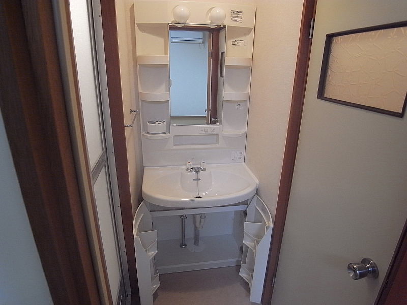 Washroom. Grooming is important!  Plenty of wash basin also storage capacity. 