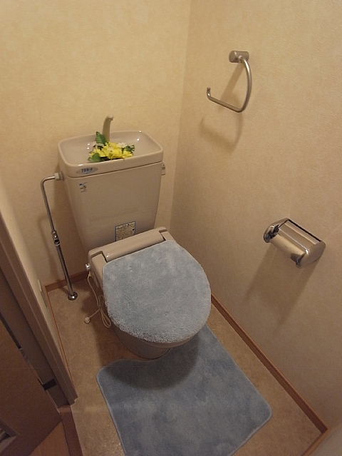 Toilet. There is no also be a Hiyatsu in winter season