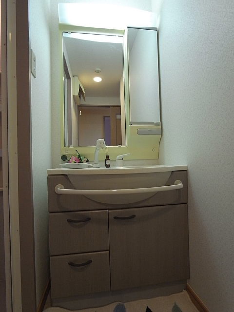 Washroom. Impressive shampoo dresser large mirror