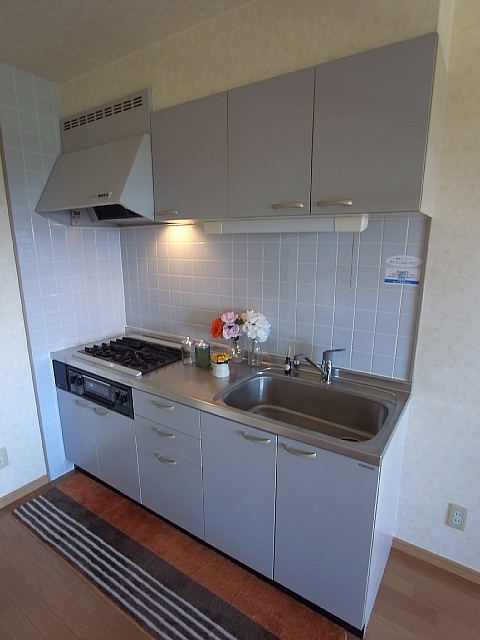 Kitchen. Spacious a living unit in the wall with type ~ ! 
