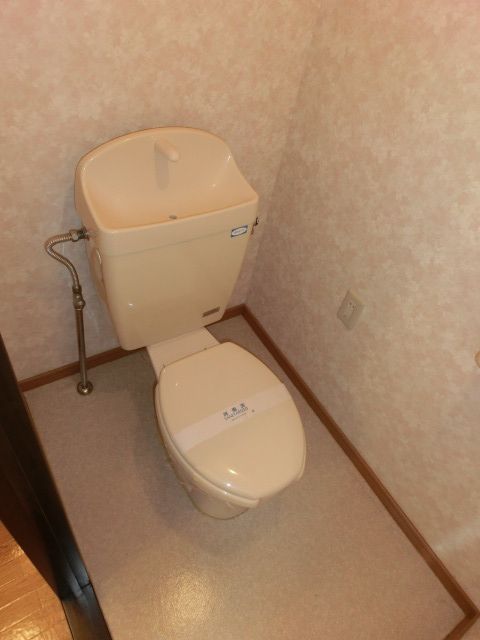 Toilet. Toilet