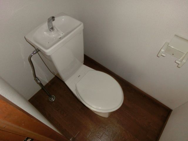 Toilet. It will be in the toilet