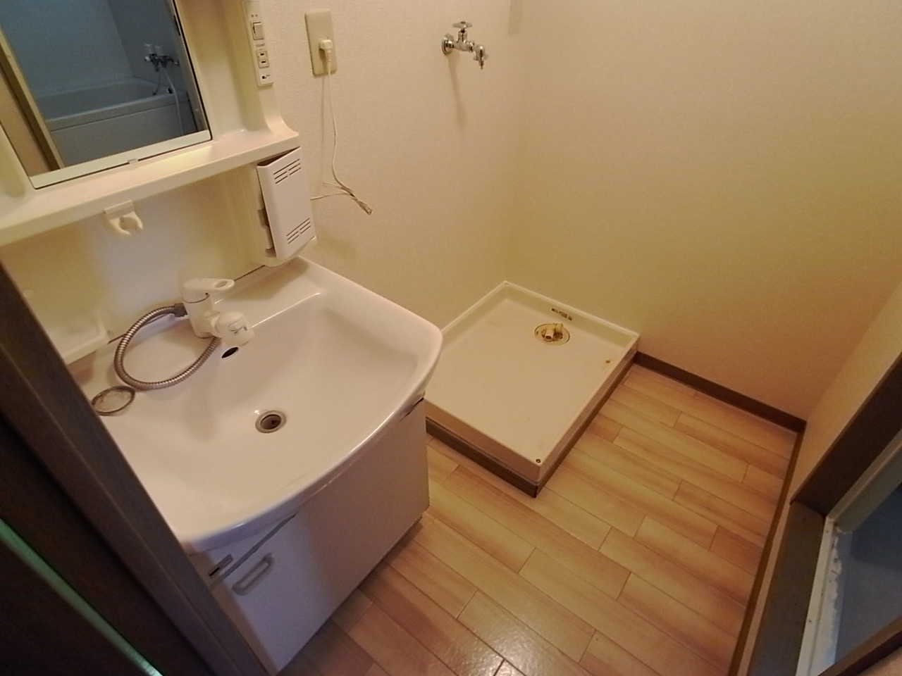 Washroom. It comes with shampoo dresser