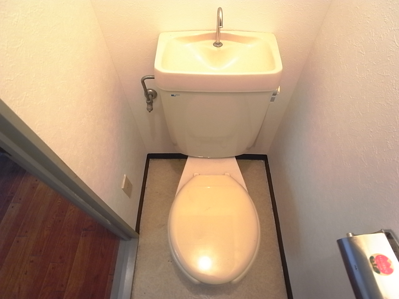 Toilet. Wide toilet