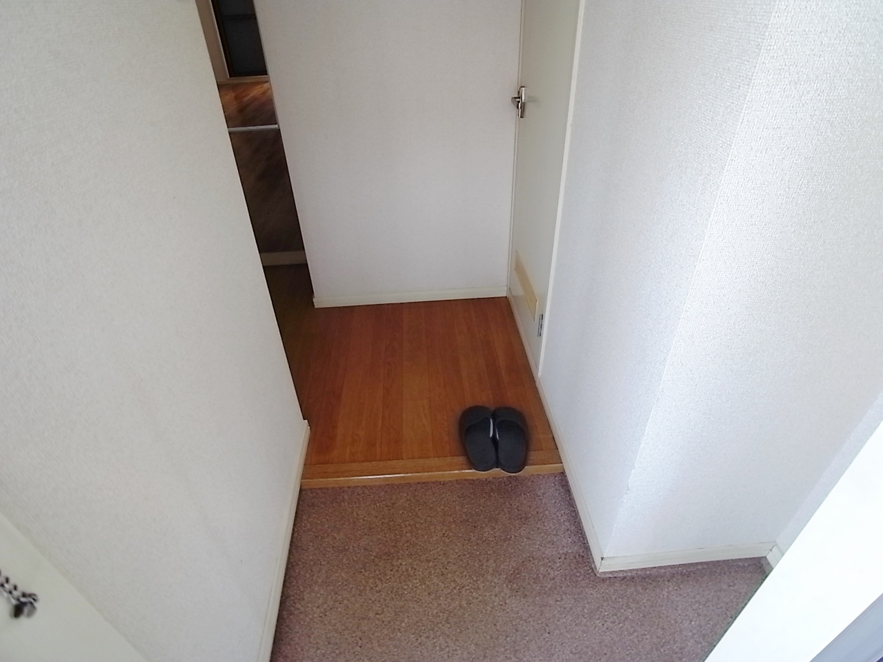 Entrance. Even space to put the shoebox, Properly there will ne ^ ^
