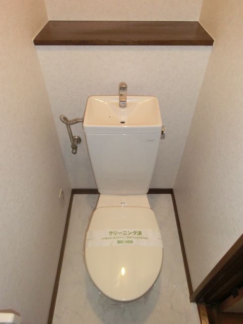 Toilet. Shelf is easily accessible height of hand