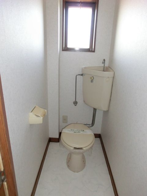 Toilet. A window