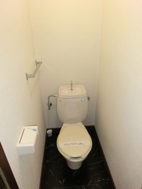 Toilet. Western-style toilet! 