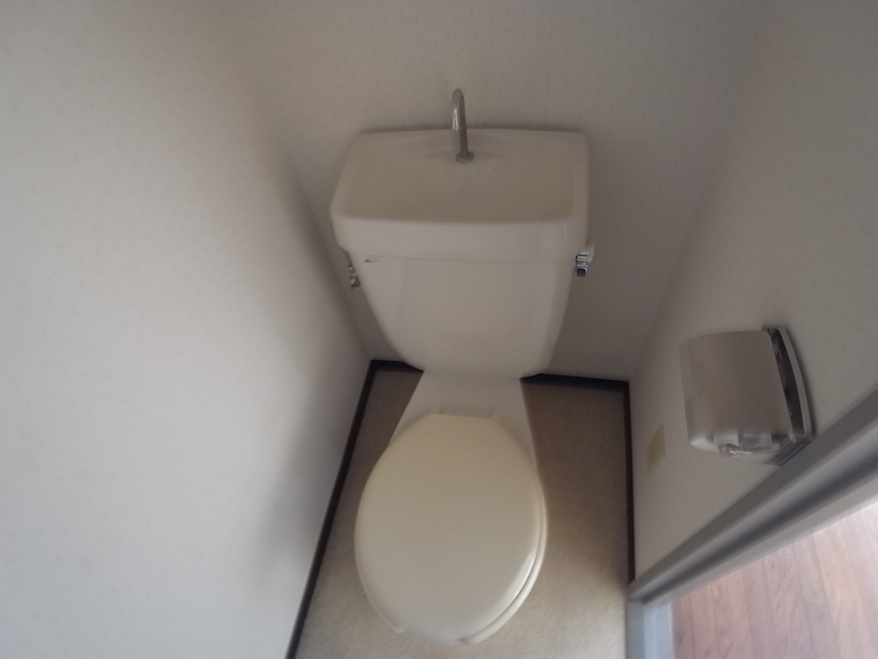 Toilet. Wide toilet
