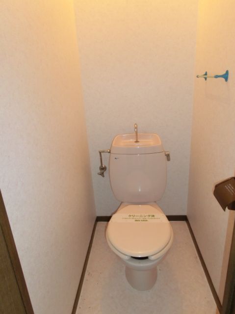 Toilet. Toilet spread