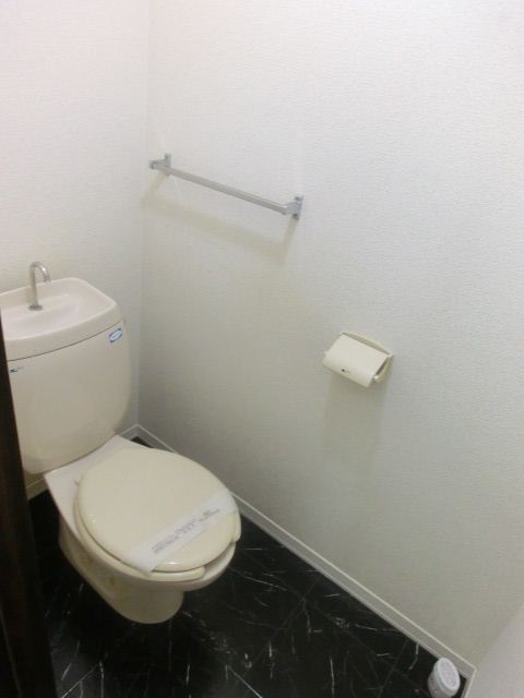 Toilet. Western-style toilet! 