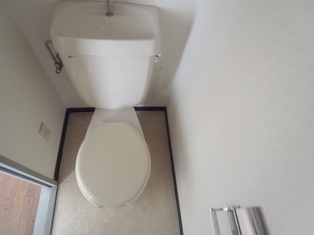 Toilet. Wide toilet