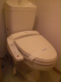 Toilet. Bidet with toilet! 