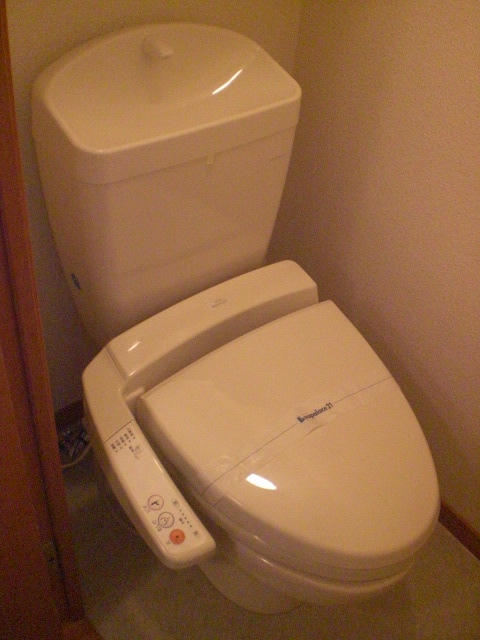 Toilet. Warm water washing toilet seat! 