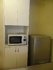 Kitchen. Fully equipped with microwave and refrigerator