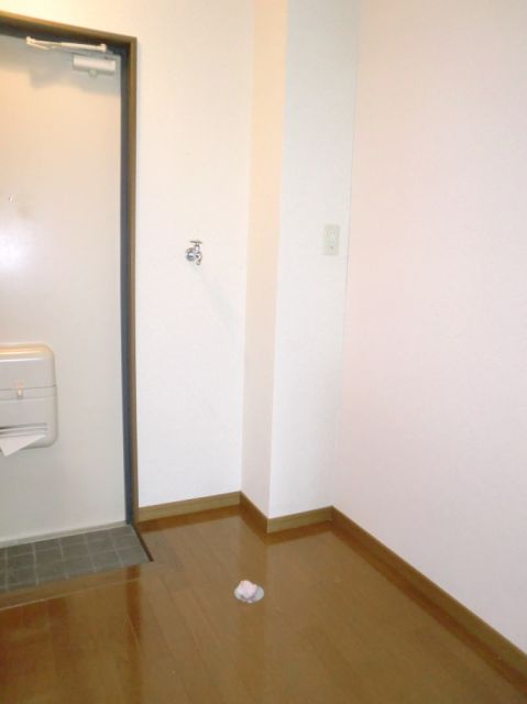 Other room space. It is the Laundry Area. 