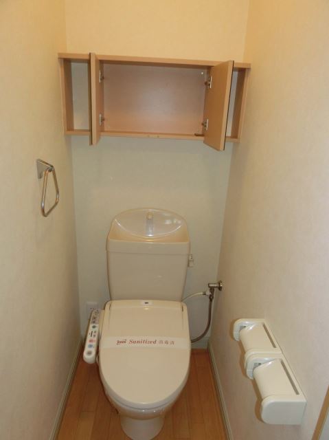 Toilet. With Ushuretto, Shelf with toilet