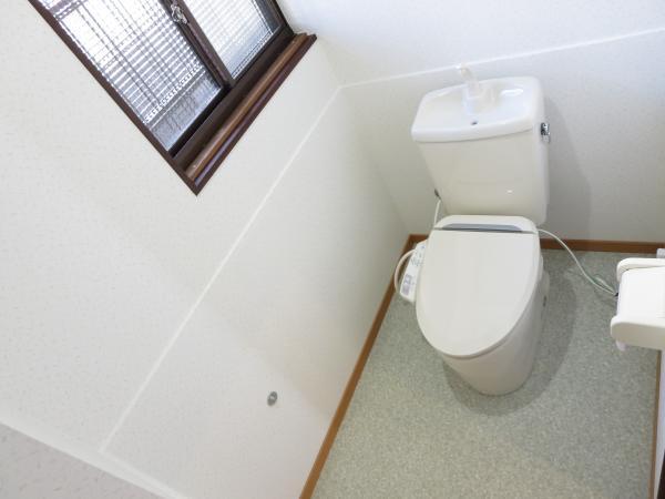 Toilet. It is a new article with a bidet.