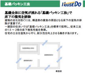 Other introspection. Basic packing method