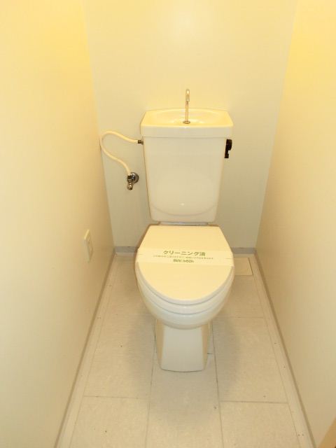 Toilet. Intimate toilet. 