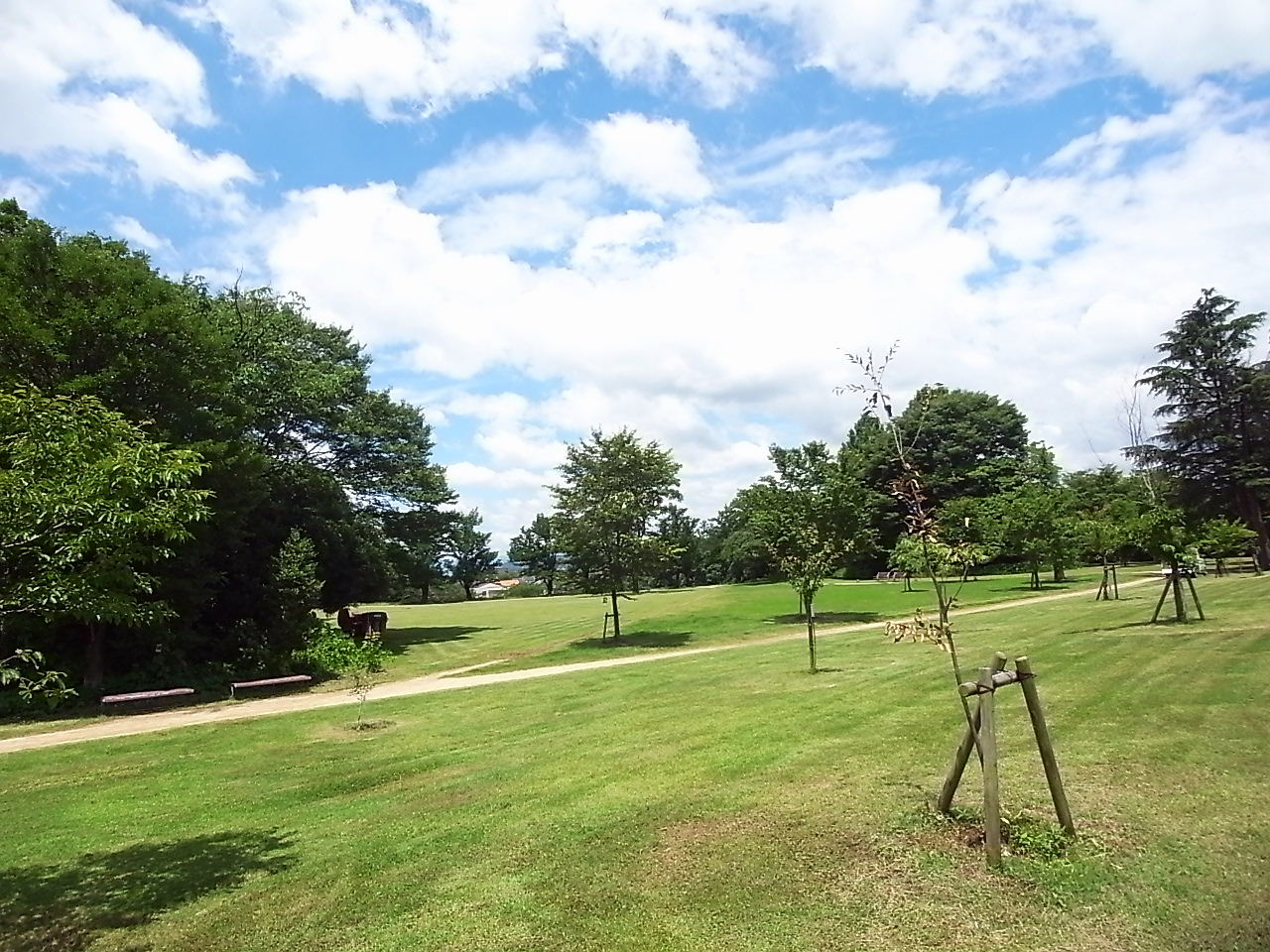 park. 2300m to learn of Forest (Park)