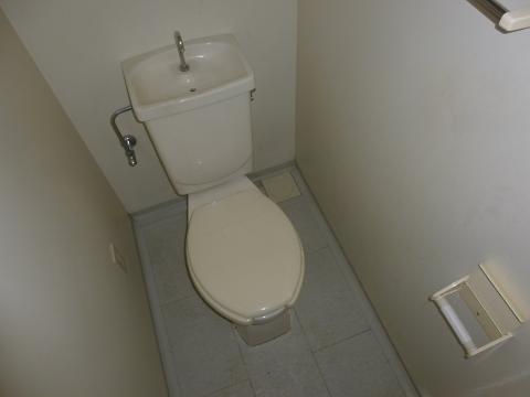 Toilet. WC