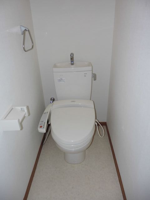 Balcony. Western-style toilet