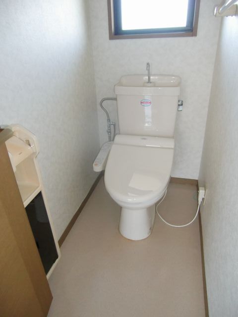 Toilet. Washing machine with a toilet seat