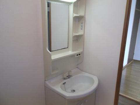 Washroom. Bathroom vanity