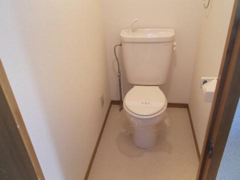 Toilet. WC