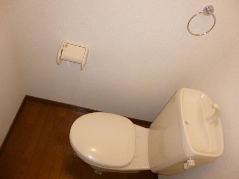 Toilet. WC