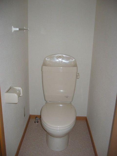 Toilet. Western-style toilet