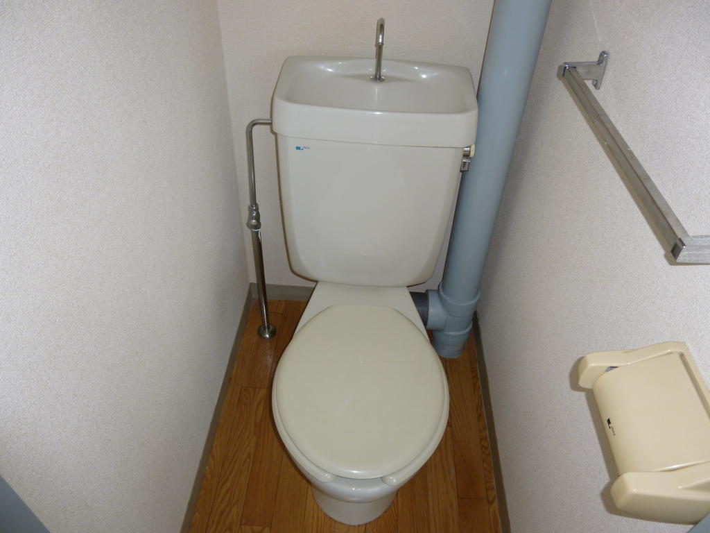 Toilet. It is a toilet with a simple clean. 