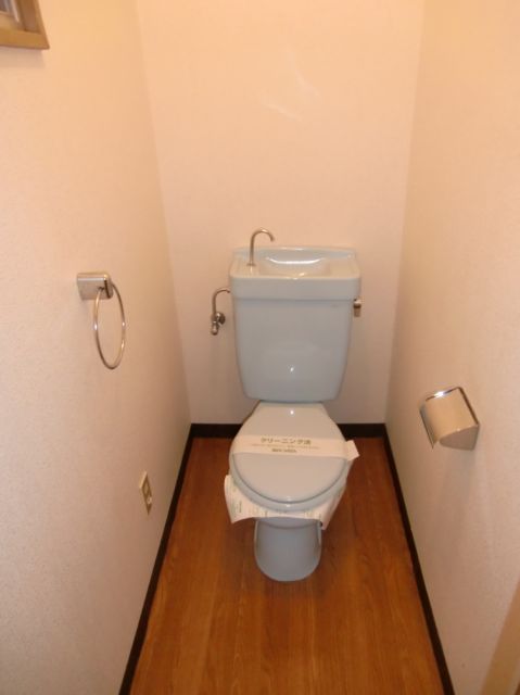 Toilet. Western-style toilet