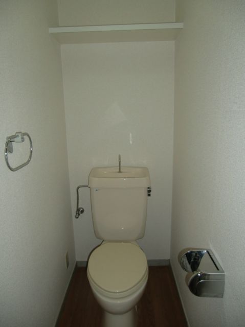 Toilet. Western-style toilet